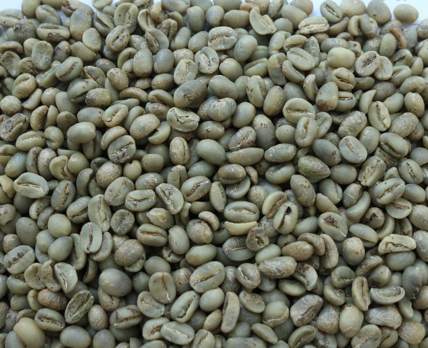 3LB Arabica Green Coffee Beans